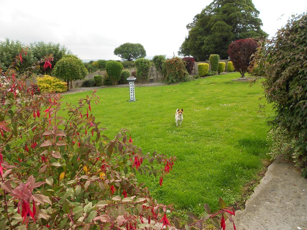 Castlehaven Villa Donaghmore  Ngoại thất bức ảnh