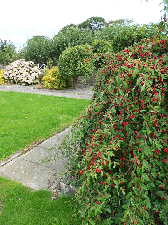 Castlehaven Villa Donaghmore  Ngoại thất bức ảnh
